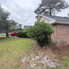 Tree-trimming-Pressure-Washing-Leaf-Blowing-in-Myrtle-Beach-SC 10